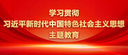 播放大鸡巴靠逼的学习贯彻习近平新时代中国特色社会主义思想主题教育_fororder_ad-371X160(2)